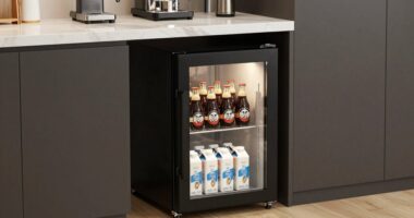 affordable coffee fridge options