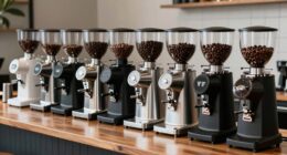 affordable commercial espresso grinders