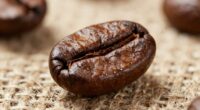 avoid using freshly roasted beans