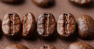 bean density influences extraction