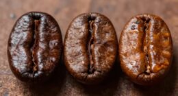 coffee processing method differences