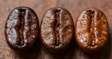 coffee processing method differences