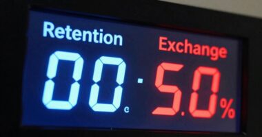 customer loyalty and returns