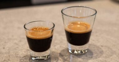 espresso styles ristretto vs lungo
