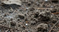 grounds static clumping effects