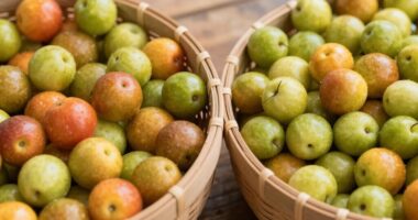 identify fill level issues