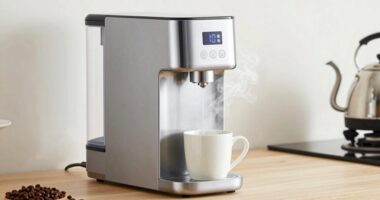 instant hot water dispensers