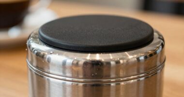 maintain clean odor free box