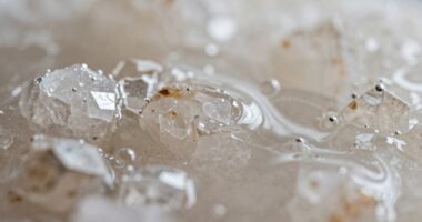 mineral content affects texture