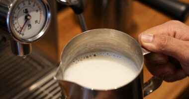 optimal milk steaming temperature