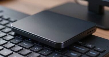 purpose and function overview