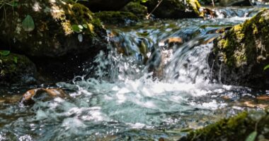 shot extraction flow issues