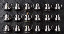top 15 temperature controlled kettles