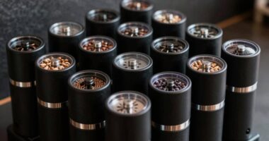 top 64mm flat burr grinders