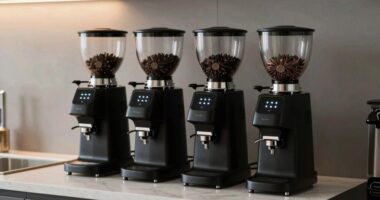 top quiet espresso grinders