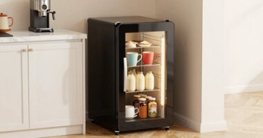 top small kitchen coffee fridges