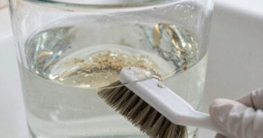 water filter cleaning tips