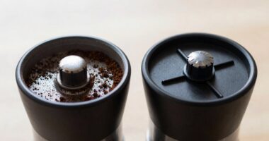burr type affects flavor