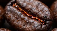 coffee roasting bitterness reveal