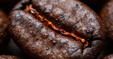 coffee roasting bitterness reveal
