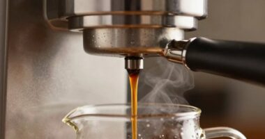 consistent drip brewing feature