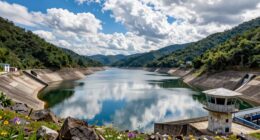 critical importance of reservoirs