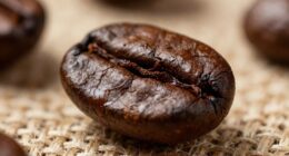 dark roasts require adjustment