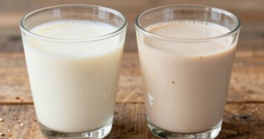 different failures of plant milks