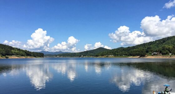 enhancing reservoir efficiency subtly