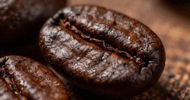 freshness trumps bean details