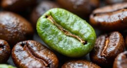 green coffee roasting curiosity