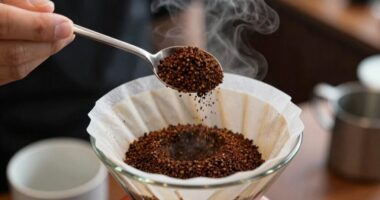 grind size affects extraction