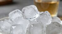ice melt rate importance