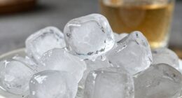 ice melt rate importance