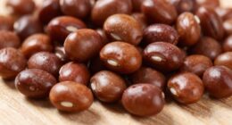 initial shot bean success