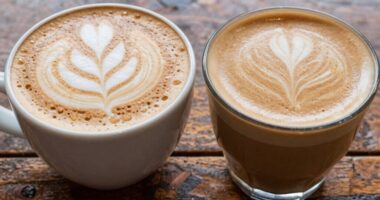 milk preferences for coffee