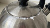 mineral build up accelerates quickly