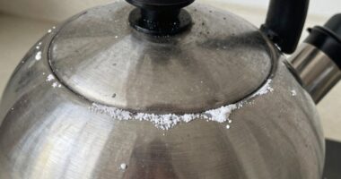 mineral build up accelerates quickly