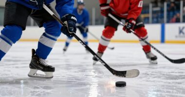 unimportant wet puck panic