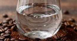 water quality affects espresso