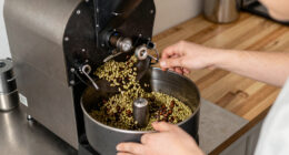 13 Best Countertop Coffee Roaster With Drum Roasting in 2026