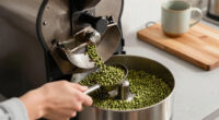 9 Best Countertop Coffee Roaster for Specialty Coffee Fans in 2026