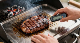 14 Best Digital Meat Thermometers for Grilling in 2026