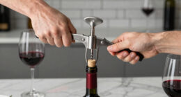 15 Best Electric Wine Openers in 2026