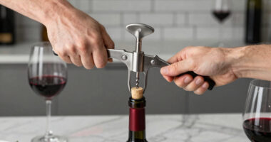 15 Best Electric Wine Openers in 2026