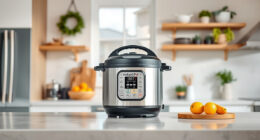 Instant Pot Pressure Cooker Maintenance: A Complete How-To & Troubleshooting Guide