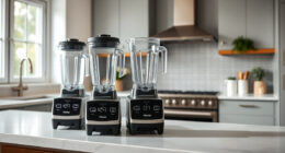 Is the Vitamix E310 Explorian Worth It? Honest Review