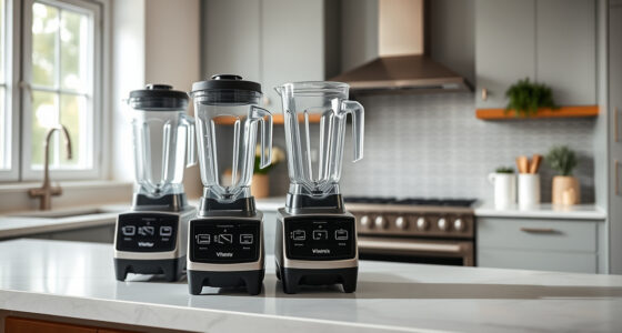 Is the Vitamix E310 Explorian Worth It? Honest Review