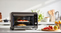 Ninja Foodi XL Pro Air Oven: The Ultimate Summer Kitchen Companion