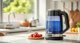 Stay Cool This Summer with Ninja KT200BL Precision Temp Kettle